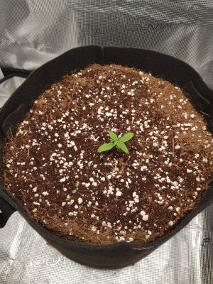 20221112_022024.jpg 20221112_022024.jpg