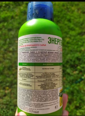 IMG_20221117_000156.jpg IMG_20221117_000156.jpg