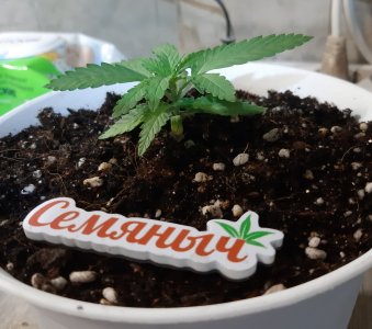 20221117_091302.jpg 20221117_091302.jpg