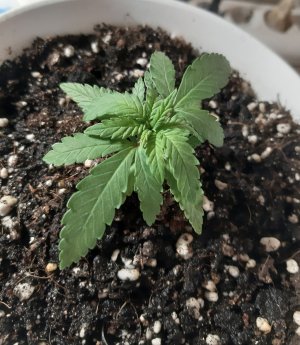 20221117_091001.jpg 20221117_091001.jpg