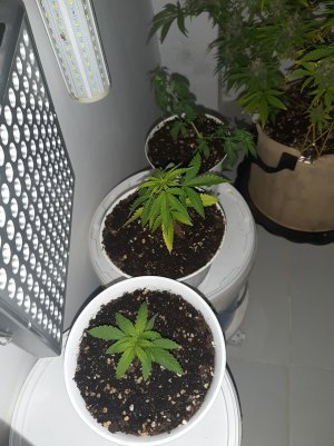 20221117_093357.jpg 20221117_093357.jpg