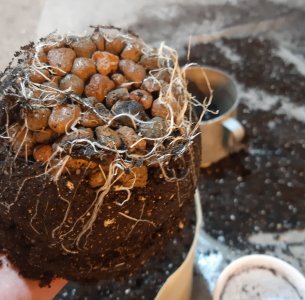 20221117_093522.jpg 20221117_093522.jpg