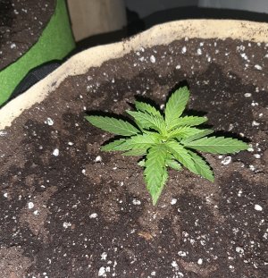 20221117_143211.jpg 20221117_143211.jpg