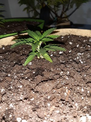 20221117_143129.jpg 20221117_143129.jpg