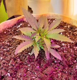 20221117_210256.jpg 20221117_210256.jpg