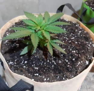 20221118_110040.jpg 20221118_110040.jpg