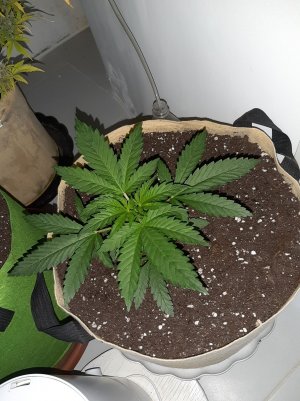 20221118_113951.jpg 20221118_113951.jpg