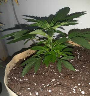 20221118_113854.jpg 20221118_113854.jpg