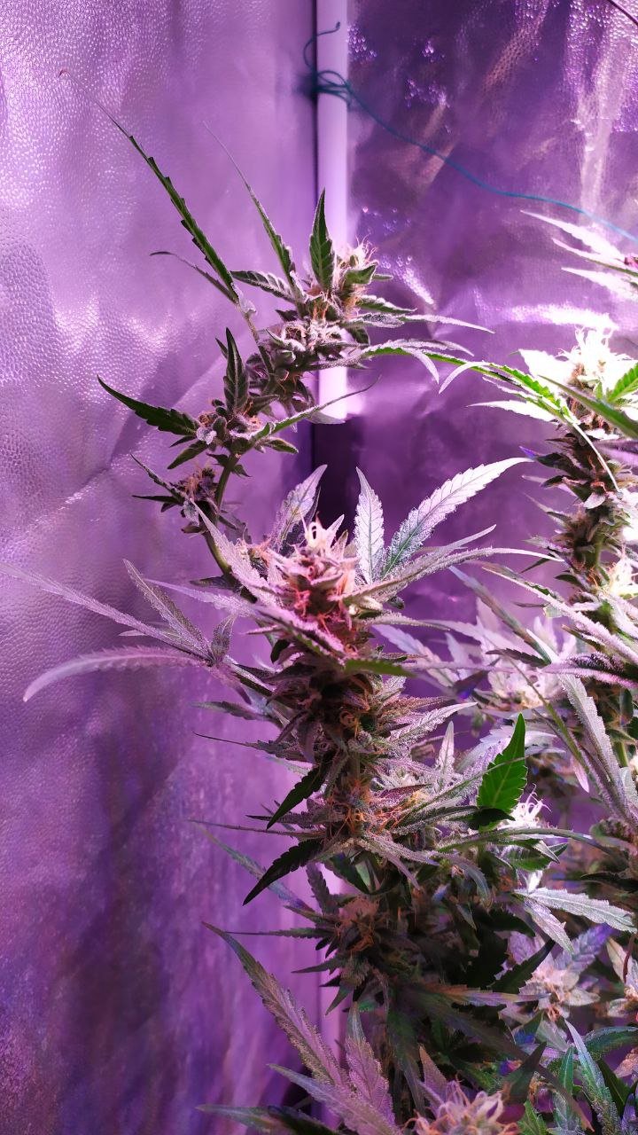 photo_2022-11-20_11-40-46 (3).jpg