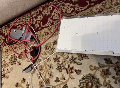 9F8E35C6-3712-4547-8365-1CFA5A0D545D.jpeg 9F8E35C6-3712-4547-8365-1CFA5A0D545D.jpeg