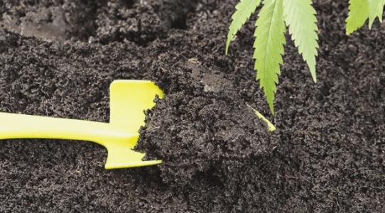 1669224890190.png 1669224890190.png