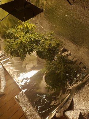 20221125_213541.jpg 20221125_213541.jpg