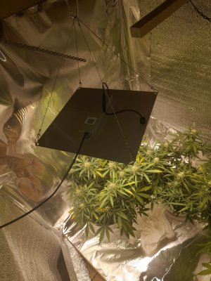 20221125_215239.jpg 20221125_215239.jpg