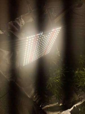 20221125_215233.jpg 20221125_215233.jpg