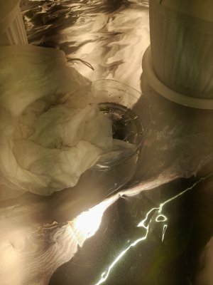 20221125_221230.jpg 20221125_221230.jpg