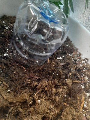 20221126_000411.jpg 20221126_000411.jpg