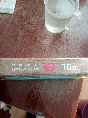 IMG_20221113_131635.jpg IMG_20221113_131635.jpg