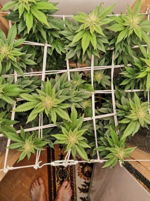 IMG_20221128_104123.jpg IMG_20221128_104123.jpg