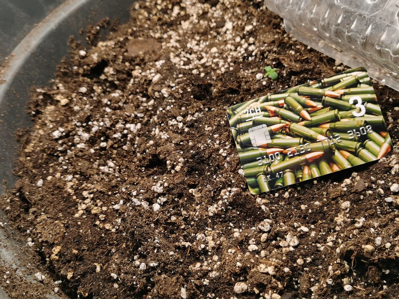 photo_2022-11-30_18-27-01.jpg photo_2022-11-30_18-27-01.jpg