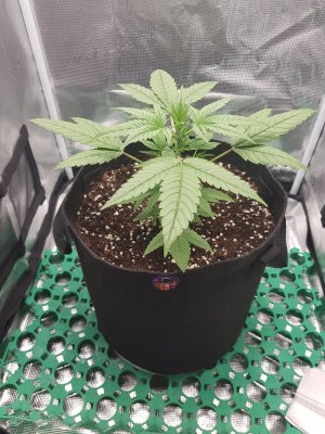 20221201_111823.jpg 20221201_111823.jpg