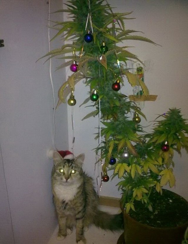 1356860215_006.jpg 1356860215_006.jpg