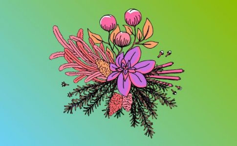 кариофиллен