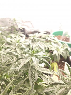 20221204_231320.jpg 20221204_231320.jpg