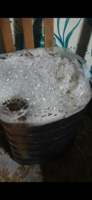 Screenshot_20221207_074322_com.huawei.himovie.overseas.jpg Screenshot_20221207_074322_com.huawei.himovie.overseas.jpg