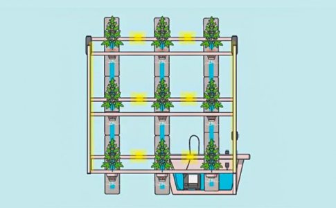 Стоечное выращивание