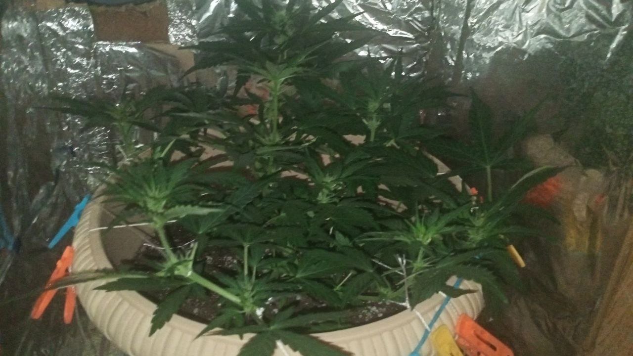 photo_2022-12-09_06-54-10.jpg photo_2022-12-09_06-54-10.jpg