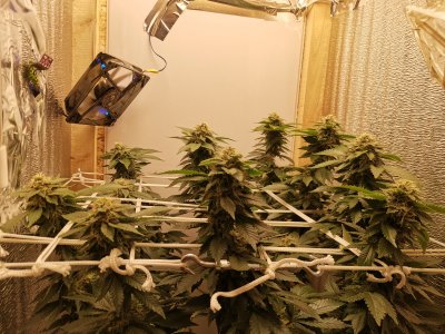 IMG_20221210_190151.jpg IMG_20221210_190151.jpg