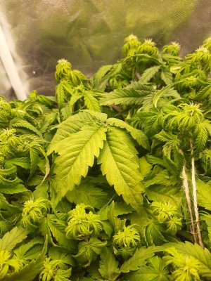 20221211_170401.jpg 20221211_170401.jpg