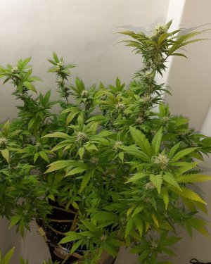 20221212_134312.jpg 20221212_134312.jpg