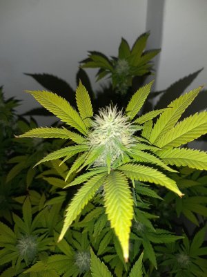 20221212_142635.jpg 20221212_142635.jpg