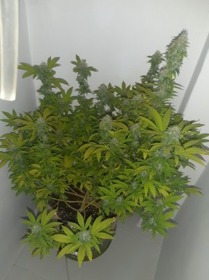 20221213_104355.jpg 20221213_104355.jpg