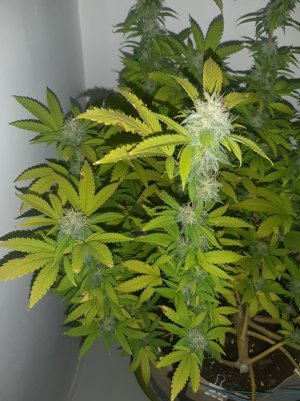 20221213_103938.jpg 20221213_103938.jpg