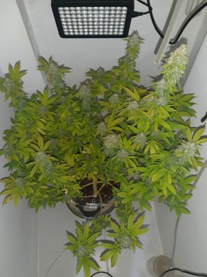 20221214_103423.jpg 20221214_103423.jpg