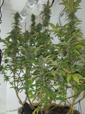 20221214_103241.jpg 20221214_103241.jpg