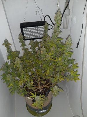 20221215_112613.jpg 20221215_112613.jpg