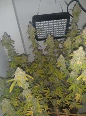 20221216_090151.jpg 20221216_090151.jpg