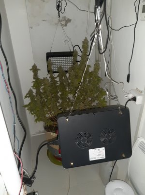 20221216_105826.jpg 20221216_105826.jpg