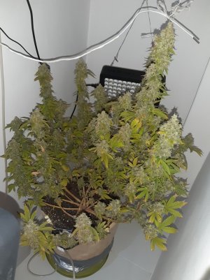 20221216_105715.jpg 20221216_105715.jpg