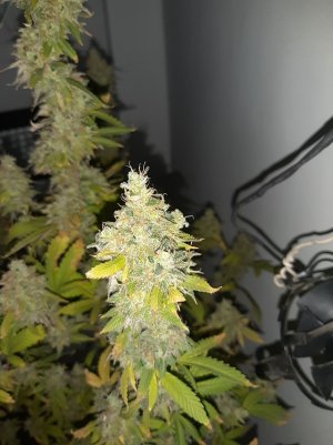 20221216_122514.jpg 20221216_122514.jpg