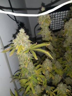 20221216_135046.jpg 20221216_135046.jpg