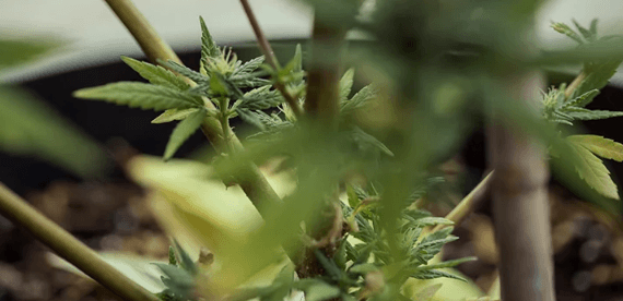 1671208100558.png 1671208100558.png