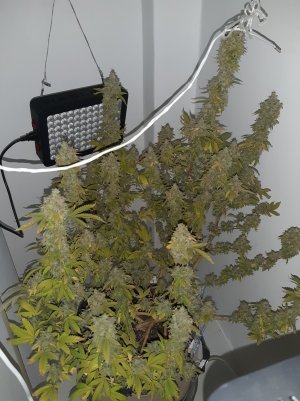 20221217_121258.jpg 20221217_121258.jpg