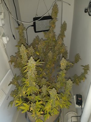 20221217_122125.jpg 20221217_122125.jpg