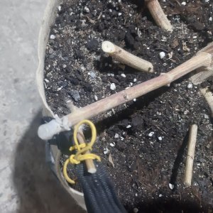 20221217_170602.jpg 20221217_170602.jpg