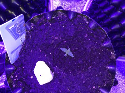 20221128_180803285_iOS.jpg 20221128_180803285_iOS.jpg