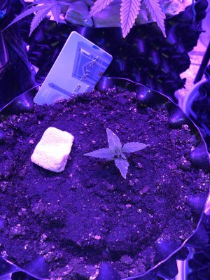 20221202_164430116_iOS.jpg 20221202_164430116_iOS.jpg